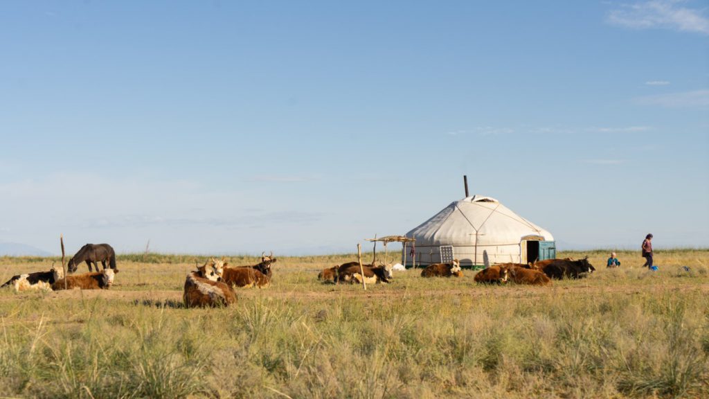 Mongol Rally-mongolia